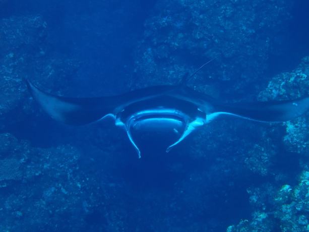 Imagen de los interiores del Hotel Canaan Coffee and Hotel. Foto 18