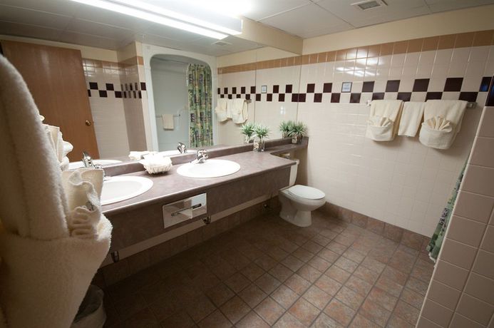Imagen de la habitación del Hotel Canad Inns Destination Centre Club Regent Casino. Foto 7