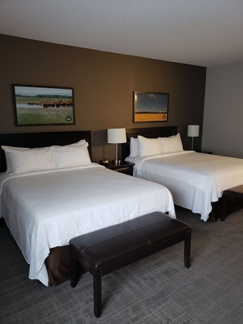Imagen de la habitación del Hotel Canad Inns Destination Centre Health Sciences Centre. Foto 3