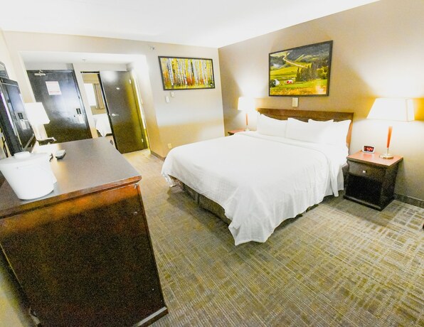 Imagen de la habitación del Hotel Canad Inns Destination Centre Polo Park. Foto 15