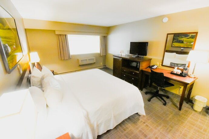 Imagen de la habitación del Hotel Canad Inns Destination Centre Polo Park. Foto 20