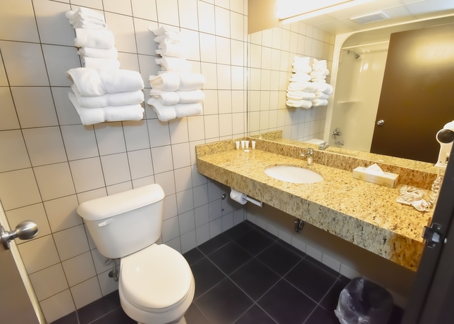 Imagen de la habitación del Hotel Canad Inns Destination Centre Transcona. Foto 16