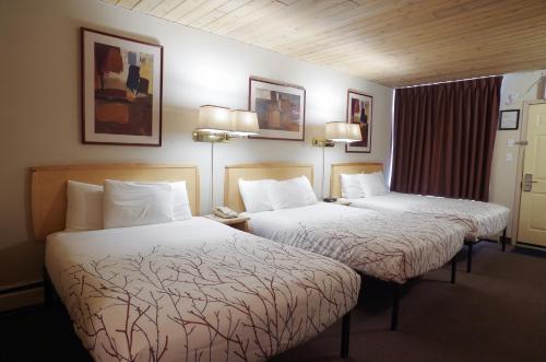 Imagen de la habitación del Hotel Canadas Best Value Inn and Suites Fernie. Foto 11