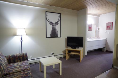 Imagen de la habitación del Hotel Canadas Best Value Inn and Suites Fernie. Foto 20