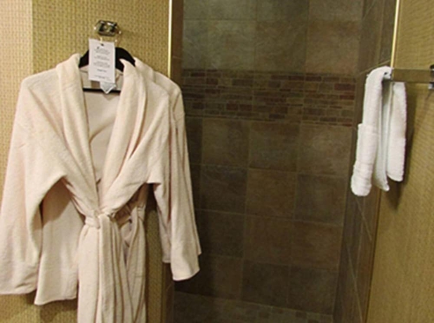 Imagen de la habitación del Hotel Canal Park Lodge. Foto 4