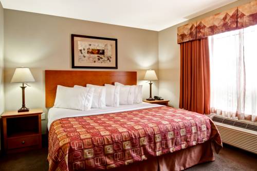 Imagen de la habitación del Hotel Canalta Rocky Mountain House. Foto 8