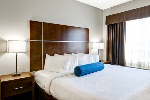 Imagen de la habitación del Hotel Canalta Selkirk. Foto 12