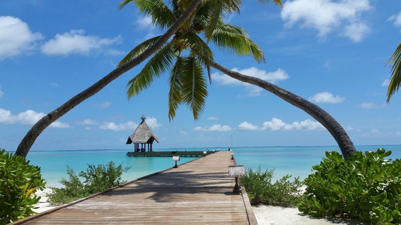 Imagen general del Hotel Canareef Resort Maldives. Foto 3