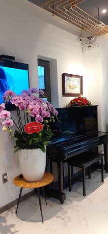 Imagen de los interiores del Hotel Canary Dalat. Foto 19
