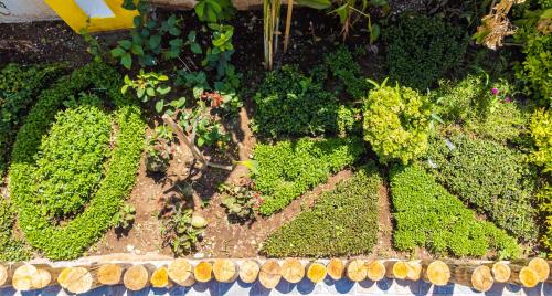 Imagen general del Hotel Canary Golden. Foto 12