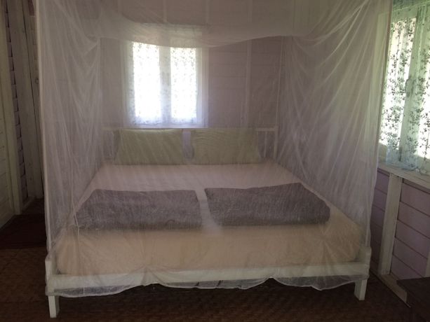 Imagen de la habitación del Hotel Canary Guesthouse. Foto 7