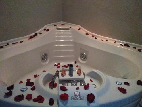 Imagen general del Hotel Cancalli Business & Suites. Foto 5