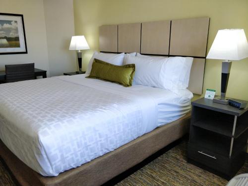 Imagen de la habitación del Hotel Candlewood Suites Dallas - Plano W Medical Center. Foto 3