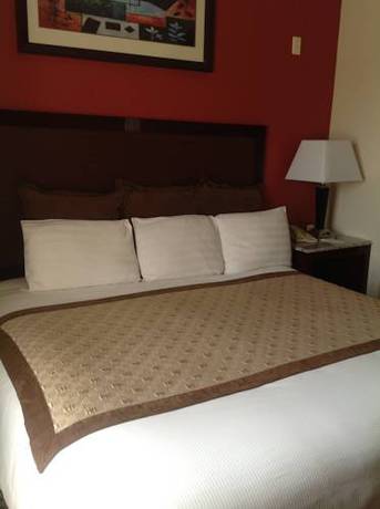 Imagen de la habitación del Hotel Candlewood Suites Dfw Airport North - Irving, An Ihg. Foto 12