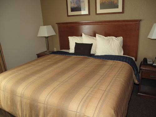 Imagen de la habitación del Hotel Candlewood Suites Elgin, An Ihg. Foto 5