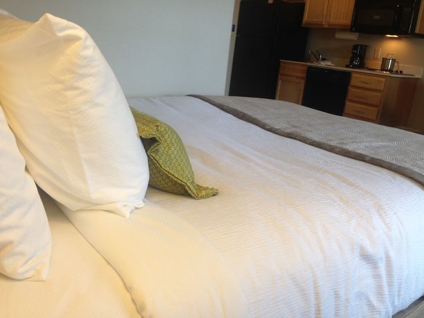 Imagen de la habitación del Hotel Candlewood Suites Grand Prairie, an IHG. Foto 2