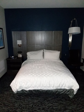 Imagen de la habitación del Hotel Candlewood Suites Knoxville Airport-alcoa. Foto 8