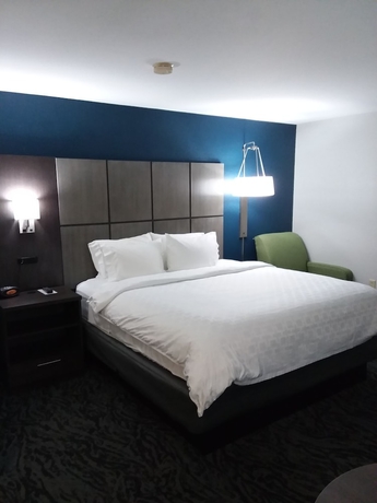 Imagen de la habitación del Hotel Candlewood Suites Knoxville Airport-alcoa. Foto 14