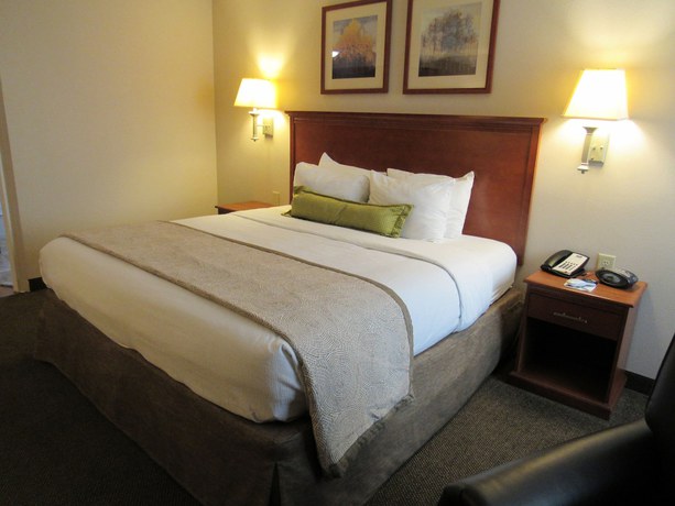 Imagen de la habitación del Hotel Candlewood Suites Murfreesboro, an IHG. Foto 11