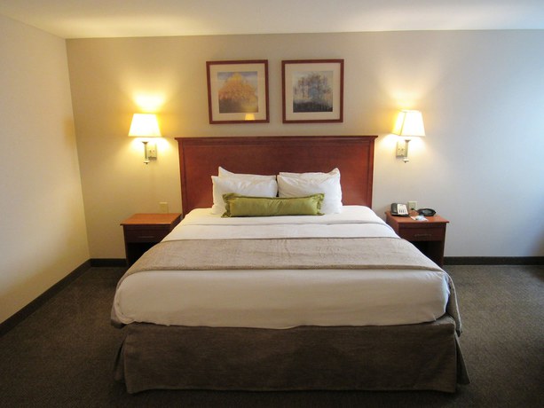 Imagen de la habitación del Hotel Candlewood Suites Murfreesboro, an IHG. Foto 17
