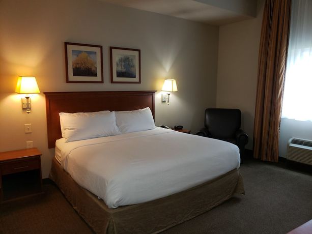 Imagen de la habitación del Hotel Candlewood Suites Murfreesboro, an IHG. Foto 19