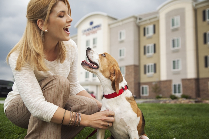Imagen de los exteriores del Hotel Candlewood Suites San Antonio Airport, An Ihg. Foto 8