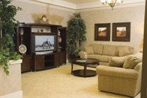 Imagen general del Hotel Candlewood Suites Springfield, An Ihg. Foto 9