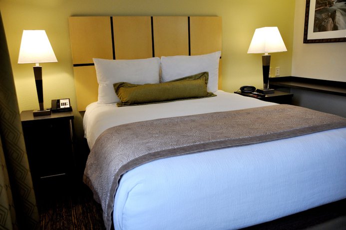 Imagen de la habitación del Hotel Candlewood Suites Washington Dulles Sterling, an IHG. Foto 12