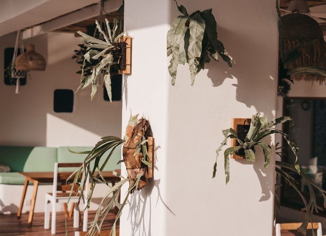 Imagen de los interiores del Hotel Canggu Village. Foto 16