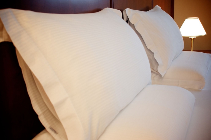 Imagen de la habitación del Hotel Canon D'oro. Foto 7