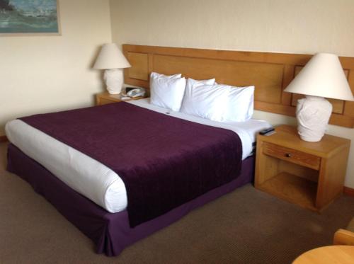 Imagen de la habitación del Hotel Cantalagua Inn. Foto 8