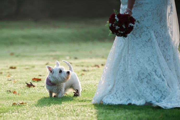 Imagen general del Hotel Cantley House. Foto 3