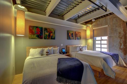 Imagen de la habitación del Hotel Canvas Dallas. Foto 6