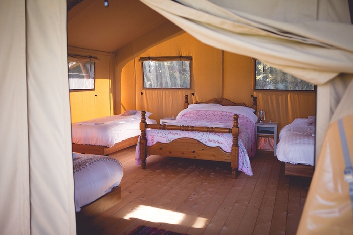 Imagen de los interiores del Hotel Canvas and Clover. Foto 12