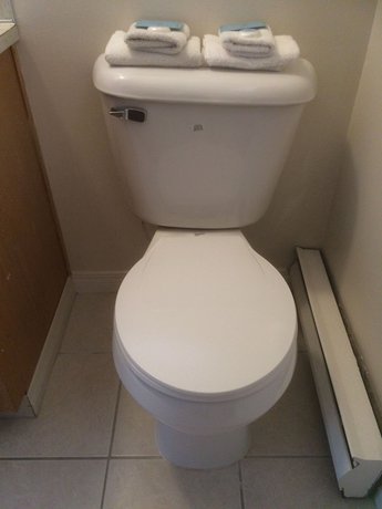 Imagen de la habitación del Hotel Canyon Alpine Motel. Foto 4