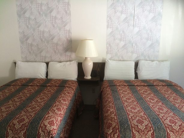 Imagen de la habitación del Hotel Canyon Alpine Motel. Foto 8