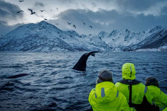 Imagen general del Hotel Canyonl. Foto 4