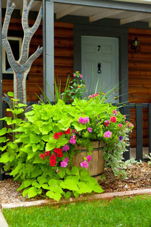 Imagen de la habitación del Hotel Canyons Lodge, A Canyons Collection Property. Foto 8