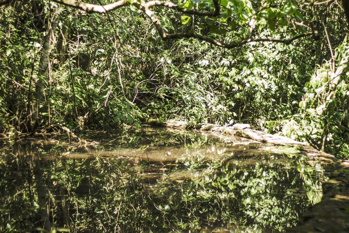 Imagen general del Hotel Canzi Cataratas. Foto 2