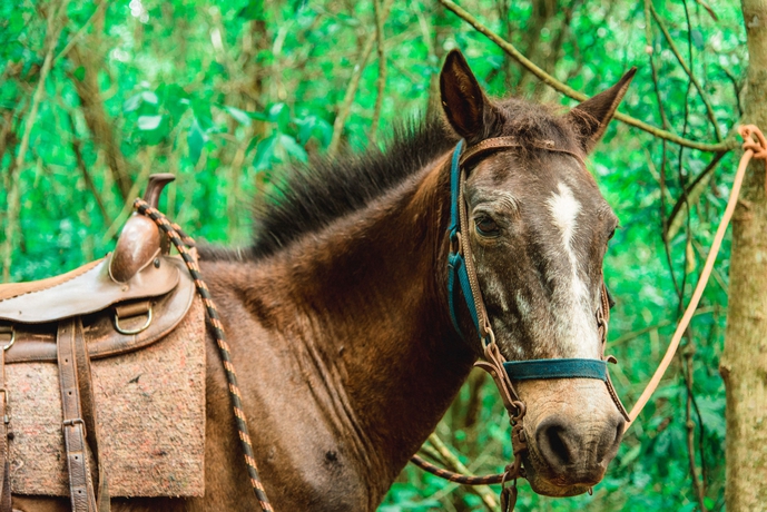 Imagen general del Hotel Canzi Cataratas. Foto 3