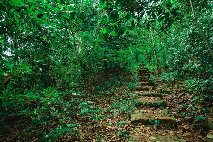 Imagen de los interiores del Hotel Canzi Cataratas. Foto 13