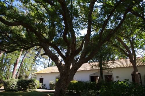 Imagen de la habitación del Hotel Cap Océan. Foto 16