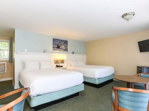 Imagen de la habitación del Hotel Cape Colony Inn. Foto 5