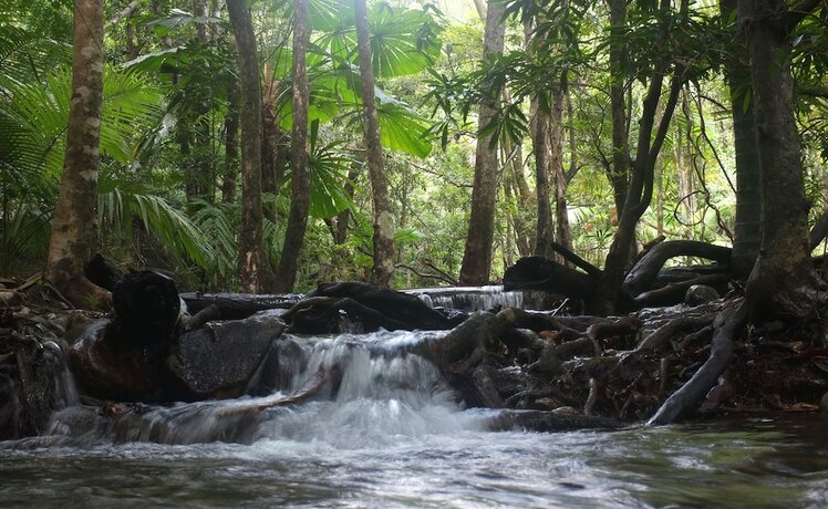 Imagen general del Hotel Cape Trib Farmstay. Foto 7