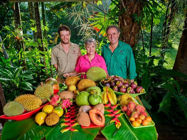 Imagen general del Hotel Cape Trib Farmstay. Foto 11