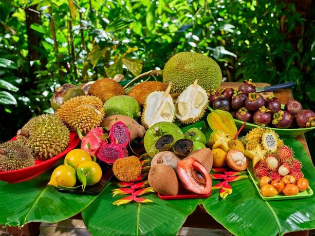 Imagen general del Hotel Cape Trib Farmstay. Foto 15