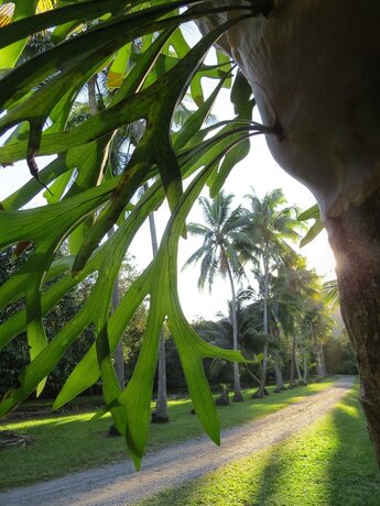 Imagen general del Hotel Cape Trib Farmstay. Foto 17