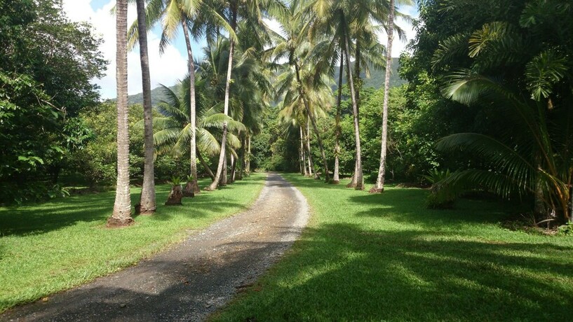 Imagen general del Hotel Cape Trib Farmstay. Foto 2