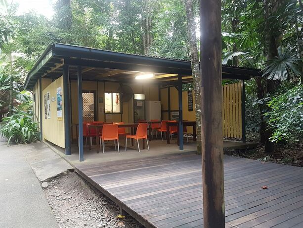 Imagen de la habitación del Hotel Cape Tribulation Beach House. Foto 24