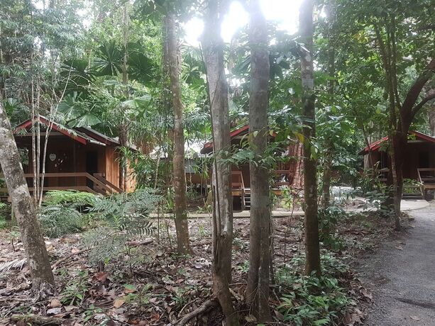 Imagen de la habitación del Hotel Cape Tribulation Beach House. Foto 34